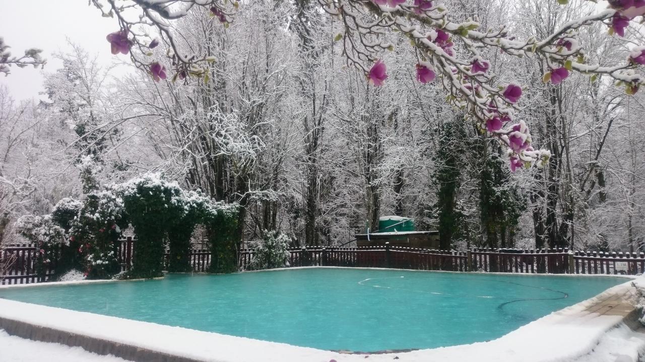 The Hogsback Inn Dış mekan fotoğraf